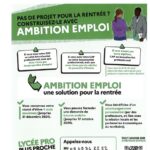 Ambition Emploi