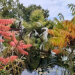 Visiter le domaine d’Art et de Nature de Chaumont-sur-Loire