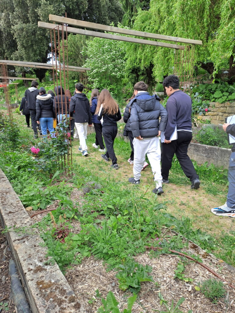 IMG 20260504 121553 1